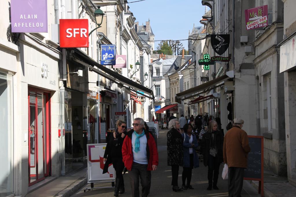 Sur Les Toits D'Amboise Appartamento Esterno foto